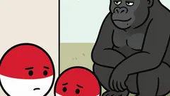 Dowcip: Tato, czemu gorylica tak krzywo patrzy?